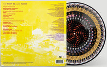 Load image into Gallery viewer, THEY MIGHT BE GIANTS - FLOOD (PICTURE DISC)