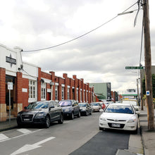 Load image into Gallery viewer, TISM - HOT DOGMA SING SING SESSIONS - COLOURED VINYL