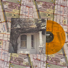 Load image into Gallery viewer, TISM - PUNT ROAD - COLOURED VINYL LP