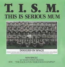 Load image into Gallery viewer, TISM - POSTER PACK #2
