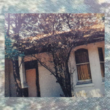 Load image into Gallery viewer, TISM - PUNT ROAD - CD plus BONUS CD