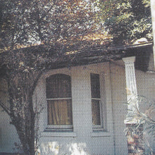 Load image into Gallery viewer, TISM - PUNT ROAD - COLOURED VINYL LP