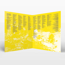 Load image into Gallery viewer, THEY MIGHT BE GIANTS - FLOOD (GREEN MULTIVERSE VINYL)

