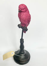 Load image into Gallery viewer, Ornithology Avairy Perroquet Royale

