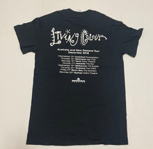 Load image into Gallery viewer, Living Colour 2018 Tour T-Shirt - Size S only
